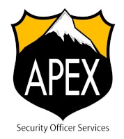 apex security